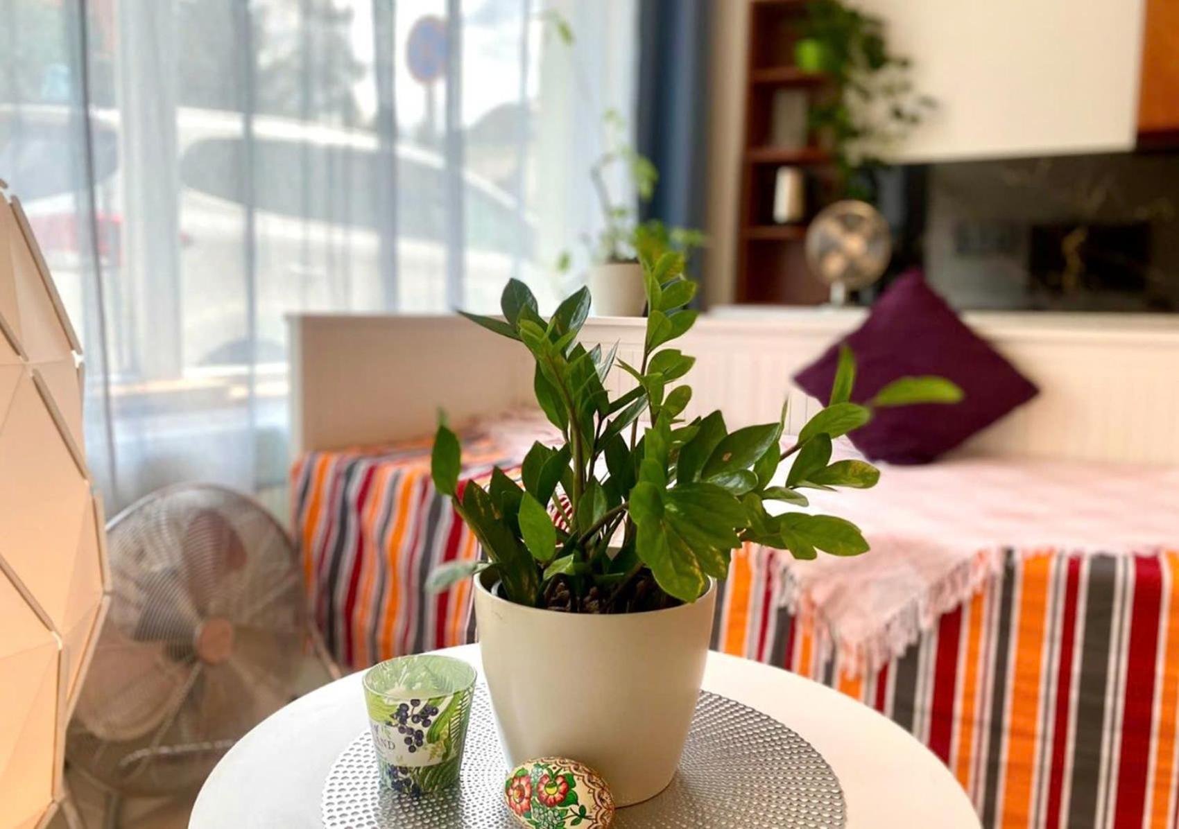 Green Studio Praha 2 L Ground Floor Free Parking Εξωτερικό φωτογραφία